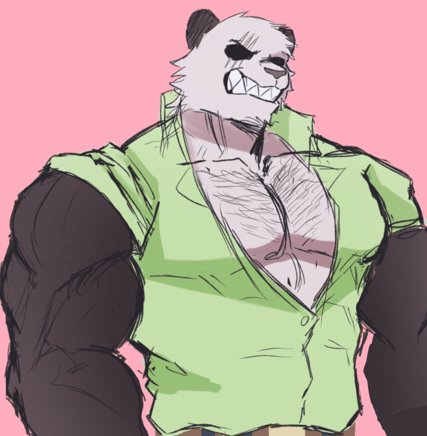 2019 anthro beastars belt biceps big_muscles black_body black_fur body_hair chest_hair clothed clothing fur giant_panda gouhin hi_res huge_muscles male mammal multicolored_body multicolored_fur muscular muscular_male open_shirt pecs pinkbloodtrails scar shirt simple_background snarling solo tight_clothing topwear triceps two_tone_body two_tone_fur ursid veiny_muscles white_body white_fur