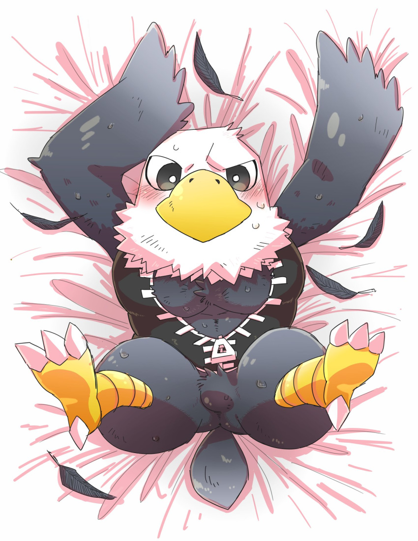 accipitrid accipitriform animal_crossing apollo_(animal_crossing) avian bald_eagle bed bird eagle fluffy furniture hi_res male nintendo pomf sea_eagle solo video_games