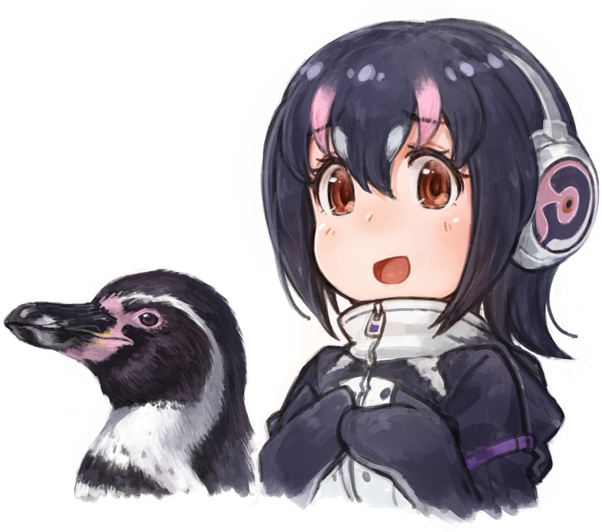 1girl :d animal armband bangs bird black_hair breasts brown_eyes eyebrows_visible_through_hair grape-kun hair_between_eyes hands_on_own_chest headphones highres humboldt_penguin humboldt_penguin_(kemono_friends) kemono_friends lain looking_at_viewer medium_breasts multicolored_hair open_mouth penguin pink_hair simple_background smile two-tone_hair white_background zipper_pull_tab