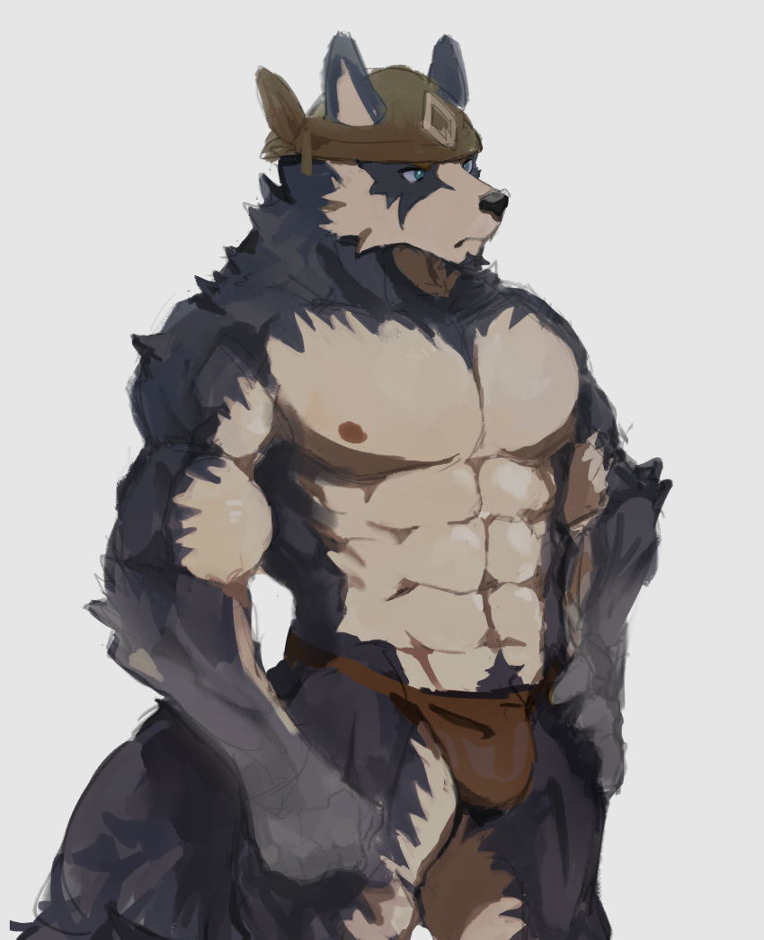 abs bandanna biceps biped black_nose blue_eyes canid canine canis clothing domestic_dog fur grey_body grey_fur hi_res husky kemo_coliseum loincloth male mammal multicolored_body multicolored_fur muscular muscular_male nordic_sled_dog pecs pubes solo spitz stakeho_lder tan_body tan_fur two_tone_body two_tone_fur volga