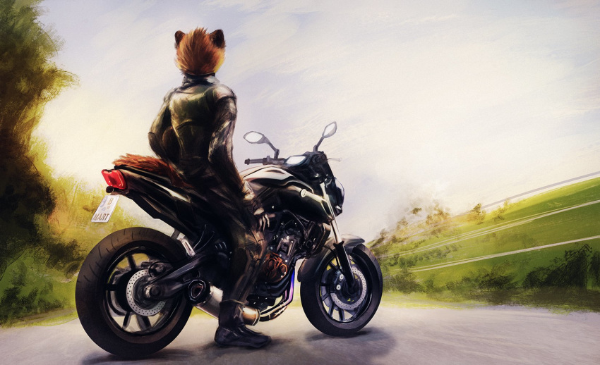 2019 anthro brown_body brown_fur clothed clothing fully_clothed fur grass hi_res kebi mammal marten motorcycle mustelid musteline outside pine_marten plant road sky solo vehicle