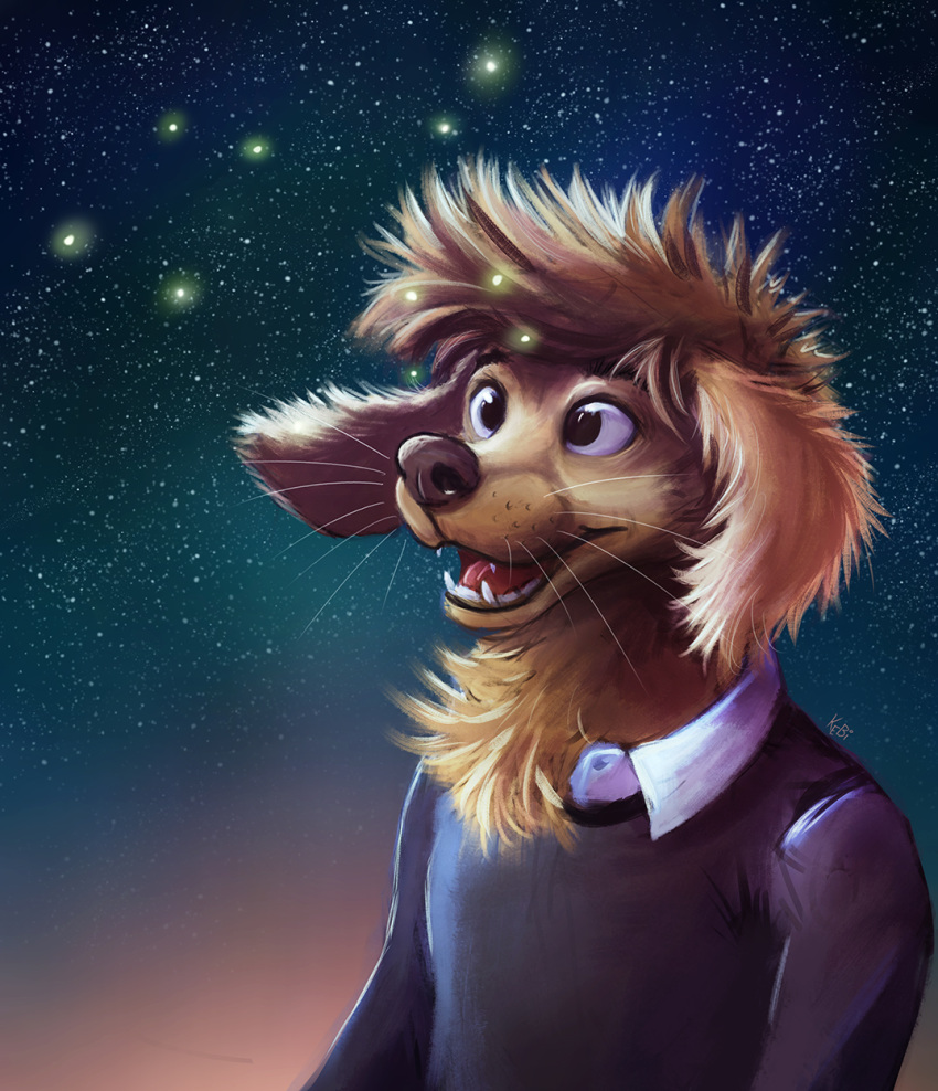 2019 anthro arthropod beetle brown_body brown_fur canid canine canis clothed clothing domestic_dog elateroid firefly fluffy fur head_tuft hi_res insect kebi mammal neck_tuft open_mouth open_smile shirt sky smile star starry_sky topwear tuft whiskers