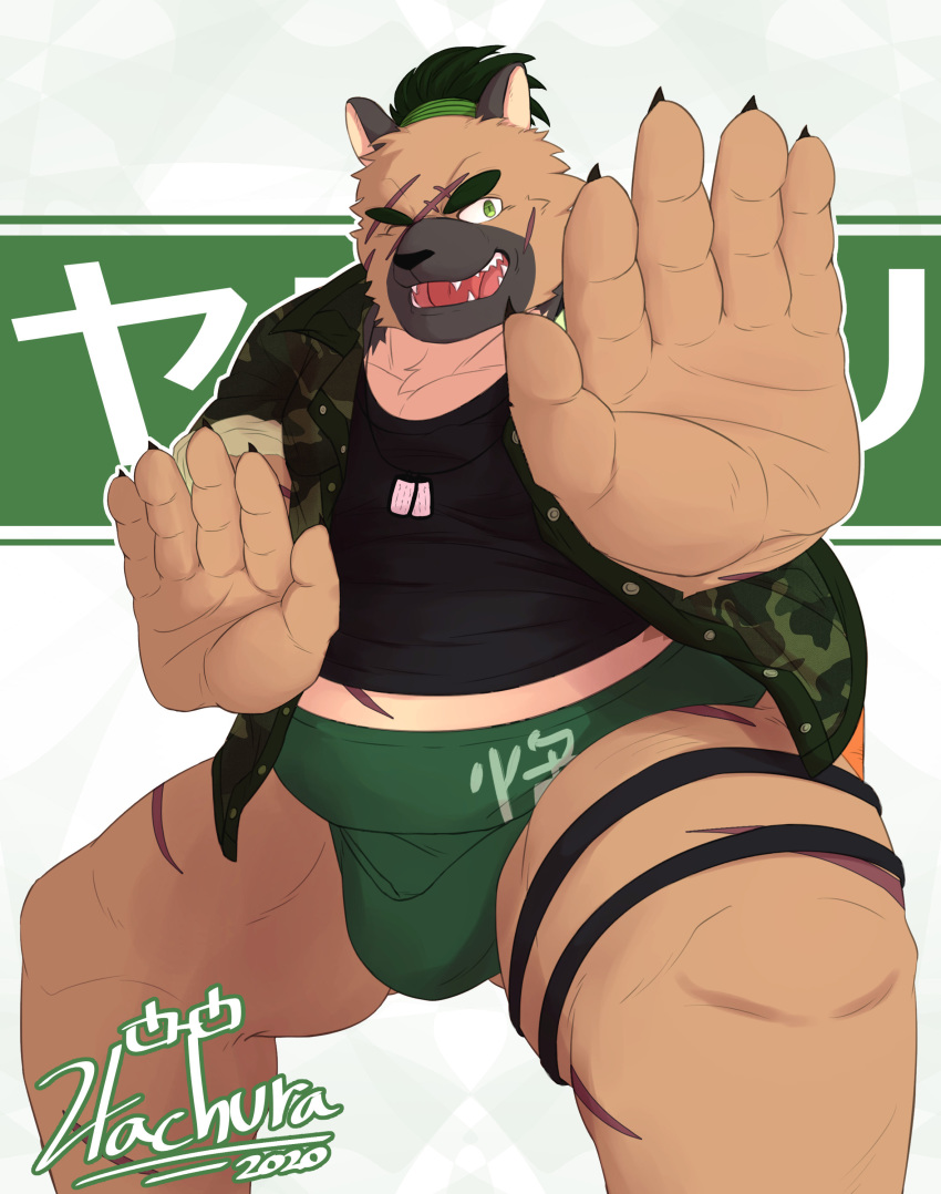 2020 absurd_res anthro brown_body brown_fur canid canine canis clothing domestic_dog fur hachura hi_res humanoid_hands japanese_text male mammal overweight overweight_male scar shirt solo sumo text tokyo_afterschool_summoners topwear video_games yasuyori
