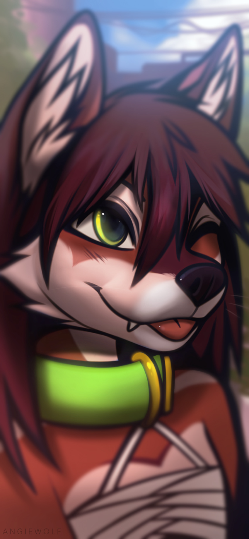 2020 absurd_res ambiguous_gender angiewolf anthro black_nose blep brown_hair canid canine canis collar digital_media_(artwork) hair hi_res mammal solo teeth tongue tongue_out wolf yellow_eyes