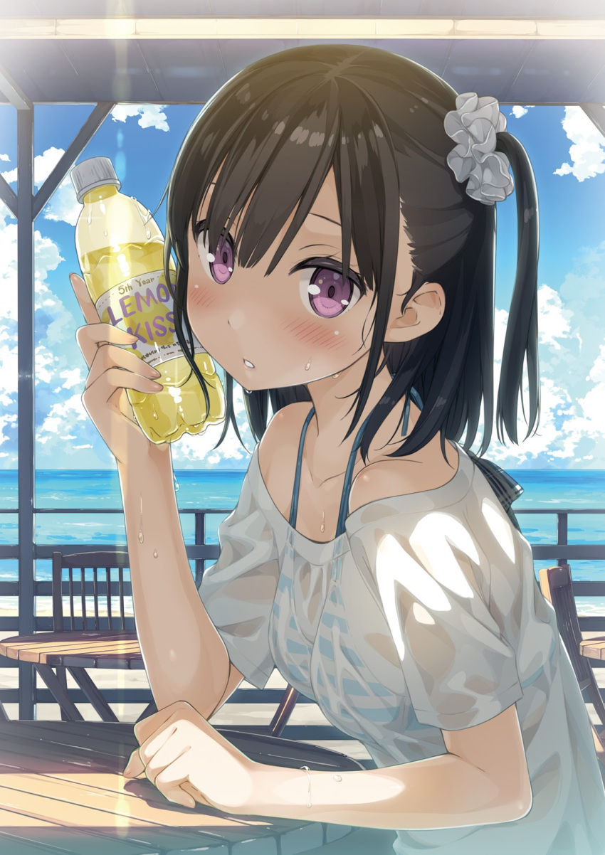 1girl bikini bikini_under_clothes black_hair blush bottle bottle_to_cheek breasts cloud cloudy_sky day from_side hair_ornament hair_scrunchie hand_up highres holding holding_bottle july kantoku looking_at_viewer ocean off-shoulder_shirt off_shoulder one_side_up original outdoors parted_lips scrunchie see-through shirt shizuku_(kantoku) sitting sky small_breasts solo striped striped_bikini sweat swimsuit teeth water water_bottle wet wet_clothes wet_shirt white_scrunchie