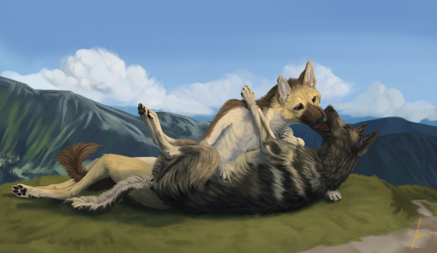 anthro anus belly black_pawpads blue_eyes brown_eyes canid canine canis cloud countershading detailed_background domestic_dog embrace female feral fokin_woof french_kissing fur german_shepherd grass grey_body grey_fur herding_dog hi_res hug kissing landscape lying male male/female mammal mountain multicolored_body multicolored_fur on_back on_side pastoral_dog pawpads plant sky solo tail tan_body tan_fur two_tone_body two_tone_fur white_belly