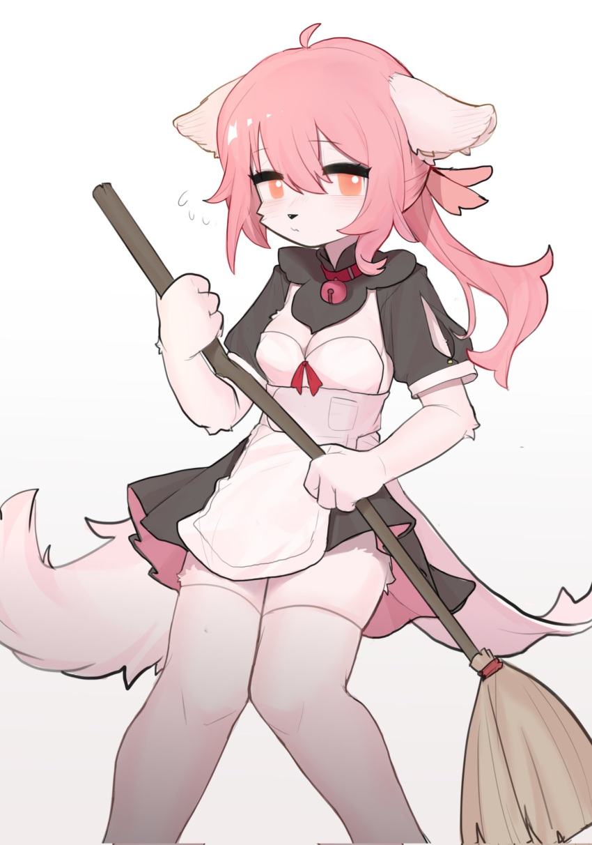 anthro bell bell_collar breasts broom canid canine cleaning_tool cleavage clothed clothing collar crayon_(artist) dress female fur hair hi_res holding_broom holding_cleaning_tool holding_object legwear long_hair looking_at_viewer mammal orange_eyes pink_hair ponytail simple_background solo standing thigh_highs white_background white_body white_fur
