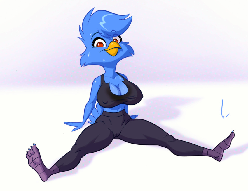 animal_humanoid anthro avian avian_humanoid birchly bird bluebird bottomwear camel_toe clothing female humanoid oscine pants passerine solo thrush_(bird) trinity_wren_littlebird yoga yoga_pants