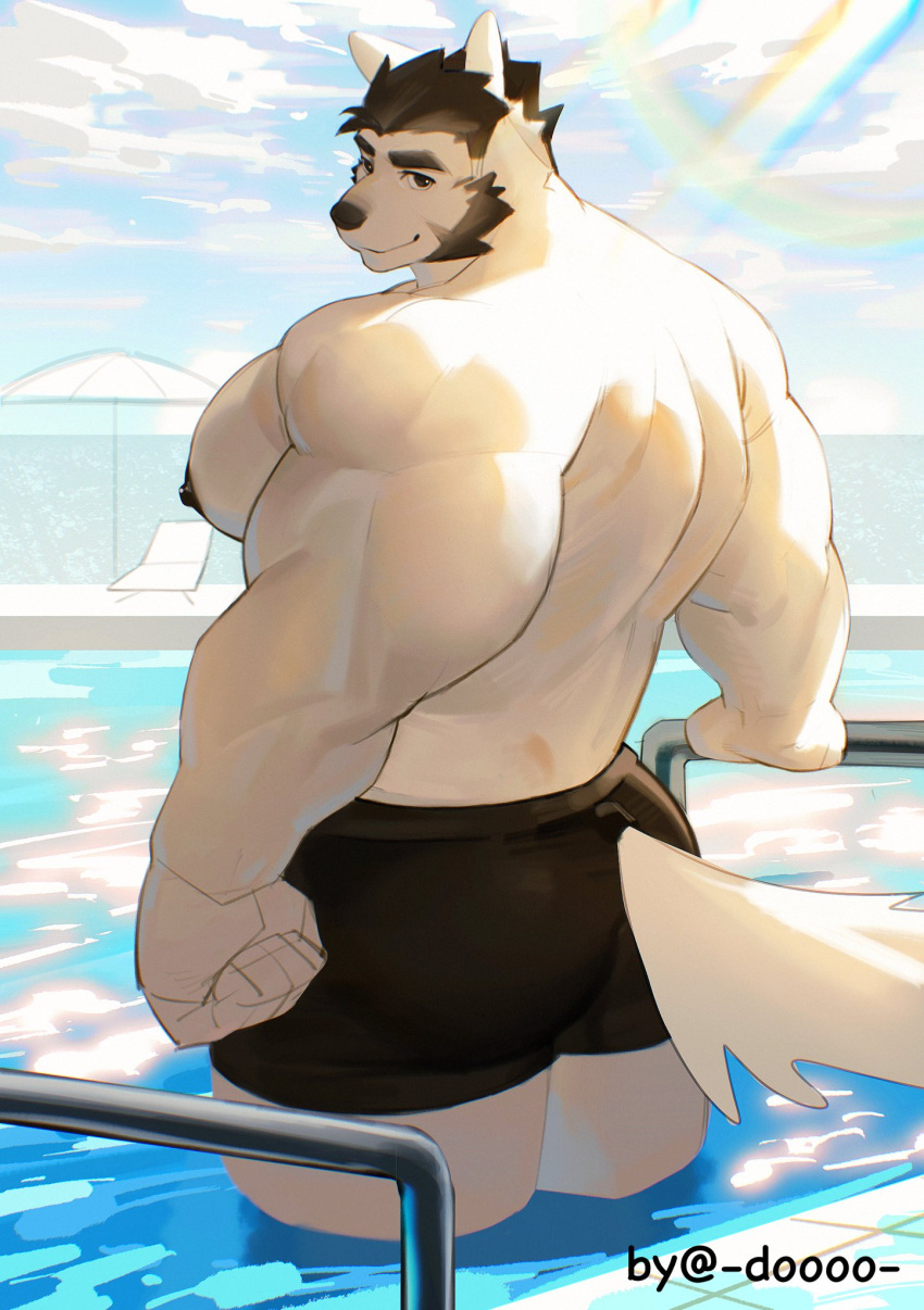 anthro back_muscles bear big_muscles black_bottomwear black_clothing black_pants bottomwear clothing doooo2424 eyebrows hi_res huge_muscles looking_at_viewer male mammal muscular muscular_male pants pecs rainbow sky solo swimming_pool tail thick_eyebrows white_body white_tail