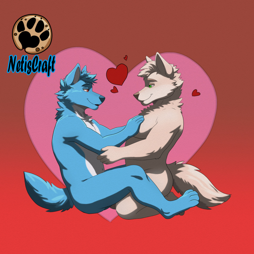 &lt;3 anthro blue_body blue_fur canid canine canis cuddling duo ears_up embrace fur green_eyes hi_res holidays hug invalid_tag looking_at_another love male male/male mammal netiscraft paws red_eyes romantic romantic_couple tail tan_body tan_fur valentine's_day wolf