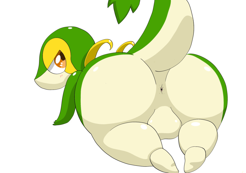 2023 anthro anus backsack balls big_butt brown_eyes butt drain_(pixiv) feet generation_5_pokemon genitals glistening green_body hi_res huge_butt looking_at_viewer looking_back male multicolored_body narrowed_eyes nintendo nude pokemon pokemon_(species) presenting presenting_anus presenting_hindquarters raised_tail rear_view reptile scalie simple_background snivy solo tail thick_thighs two_tone_body white_background wide_hips