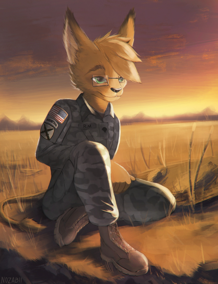 absurd_res anthro clothing digital_media_(artwork) fur hi_res male mammal military nozabii smile uniform