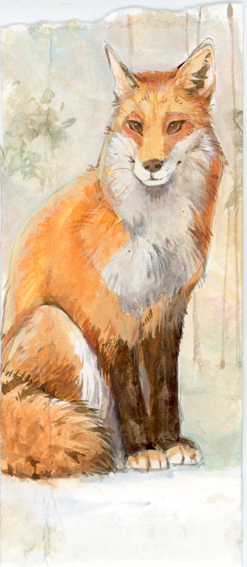 absurd_res akatan_art ambiguous_gender brown_eyes canid canine feral fox fur glistening glistening_eyes hi_res leg_markings looking_at_viewer mammal markings mouth_closed orange_body orange_fur painting_(artwork) sitting socks_(marking) solo traditional_media_(artwork) watercolor_(artwork) white_body white_fur