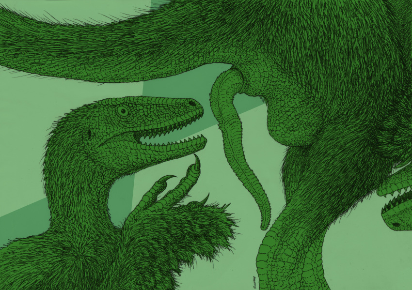 2020 absurd_res ambiguous_gender animal_genitalia avian_penis biped butt claws cloaca dinosaur dromaeosaurid duo earhole erection feathered_dinosaur feathers feral genitals green_background green_body green_skin hi_res humor larger_male looking_at_another looking_at_partner looking_back male meme mixed_media nude open_mouth pen_(artwork) penis philosoraptor presenting presenting_hindquarters presenting_penis reptile restricted_palette rubbing_chin scales scalie simple_background size_difference teeth theropod thinking traditional_media_(artwork) velociraptor zw3