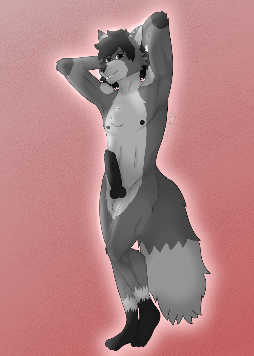 absurd_res anthro brown_eyes canid canine earthwormgd earthy erection fox fur grey_body grey_fur hair hands_behind_head hi_res knot light lighting looking_at_viewer male mammal nipples pink_background seductive simple_background solo