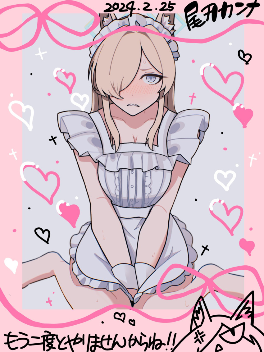 1girl alternate_costume anger_vein animal_ear_fluff animal_ears apron arms_between_legs barefoot blonde_hair blue_archive blush border breasts center_frills cleavage clenched_teeth collarbone dated dog_ears enmaided frills frown grey_background grey_eyes hair_intakes hair_over_one_eye halo heart highres kanna_(blue_archive) long_bangs long_hair looking_at_viewer maid maid_apron maid_headdress naked_apron nose_blush parted_bangs pink_border sharp_teeth sitting sweat teeth uumi_hinata variant_set wariza wrist_cuffs