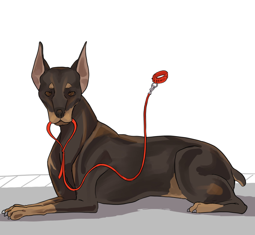 absurd_res ambiguous_gender canid canine canis claws collar dobermann domestic_dog feral happy_jolson hi_res leash leashed_collar mammal paws pinscher quadruped solo tail