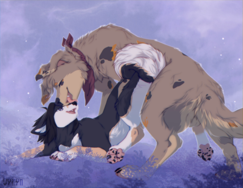 absurd_res all_fours ambiguous_gender ambiguous_penetrated balls black_body black_fur brown_body brown_fur canid canine canis claws digital_media_(artwork) doggystyle domestic_dog duo eyes_closed feet feral feral_on_feral feral_penetrated feral_penetrating feral_penetrating_feral fluffy fluffy_tail from_behind_position fur genitals hair hi_res kissing licking looking_at_another looking_at_partner love male male/ambiguous male_penetrating male_penetrating_ambiguous mammal open_mouth pawpads paws penetration raised_leg romantic romantic_couple sex shyryp smile tail tongue tongue_out white_body white_fur