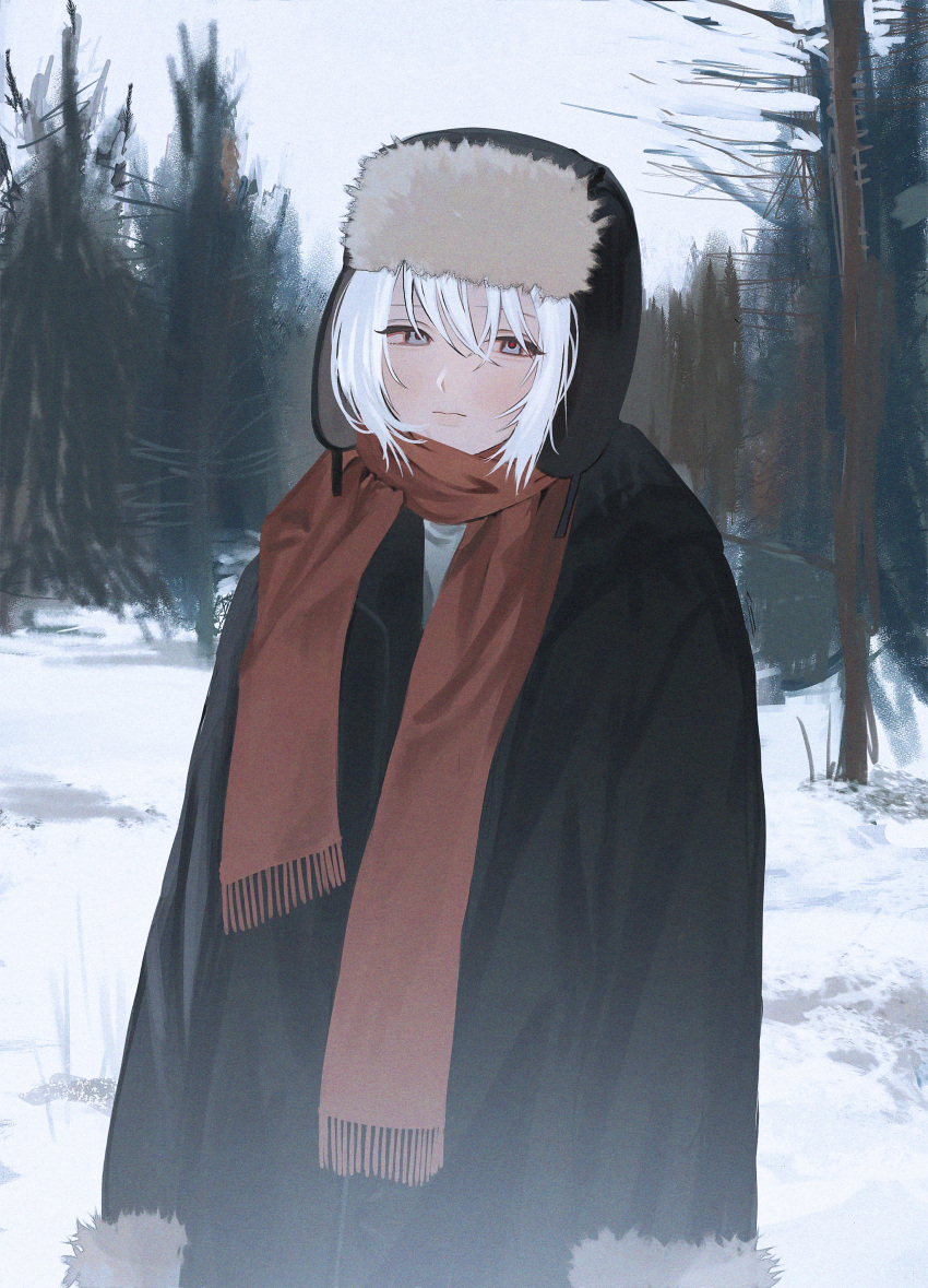 1girl absurdres arms_at_sides black_coat black_hat closed_mouth coat cowboy_shot day expressionless fur-trimmed_sleeves fur_hat fur_trim grey_eyes hat highres long_sleeves looking_at_viewer nature original outdoors red_pupils red_scarf riroi_(rntr_ll) scarf shirt short_hair sky snow solo standing tree ushanka white_hair white_shirt white_sky