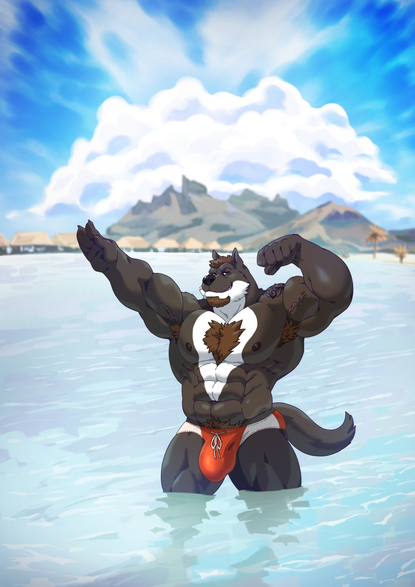 2018 5_fingers abs absurd_res anthro armpit_hair beach beard biceps big_bulge big_muscles black_body black_fur black_nipples black_nose body_hair brown_eyes brown_hair bulge canid canine canis chest_hair clothed clothing facial_hair fingers flexing fur grin hair happy_trail hi_res huge_muscles looking_at_viewer male mammal multicolored_body multicolored_fur muscular muscular_male nex_anima_canis nipples pecs pose quads seaside smile solo standing swimwear taoren tattoo topless two_tone_body two_tone_fur veiny_muscles white_body white_fur wolf