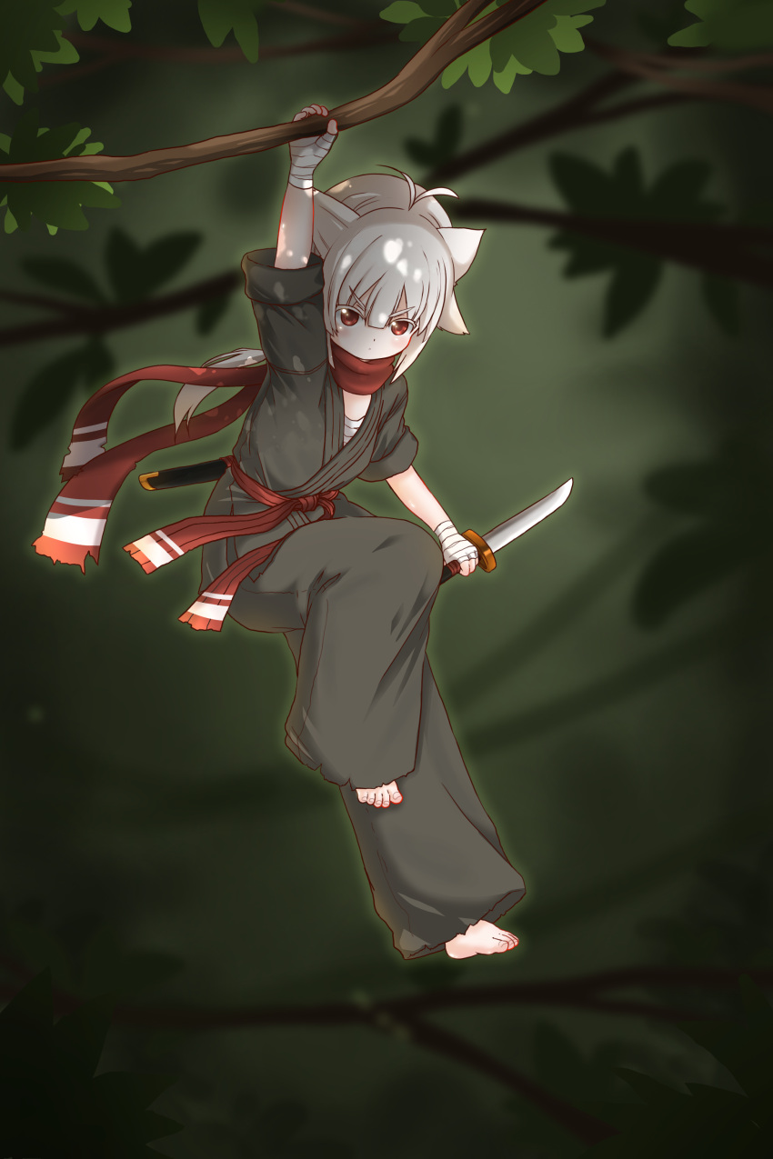 1girl absurdres animal_ears bandaged_hand bandages barefoot belt black_pants blurry blurry_background cat_ears cat_girl chinese_commentary commentary_request dagger dougi full_body hanging hanging_from_tree highres holding holding_dagger holding_knife holding_weapon knife kuma-bound long_hair low_ponytail martial_arts_belt ninja original outdoors pants red_belt red_eyes red_scarf scarf solo toes v-shaped_eyebrows weapon white_hair