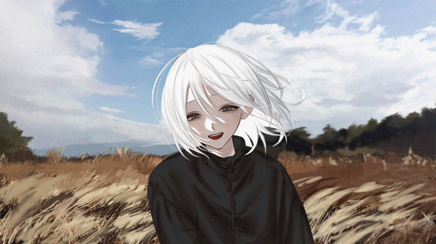 1girl arms_at_sides black_jacket blue_eyes blue_sky cloud cloudy_sky commentary dry_grass field floating_hair grass half-closed_eyes head_tilt highres jacket long_sleeves looking_at_viewer medium_hair original outdoors red_pupils riroi_(rntr_ll) sky smile solo tall_grass teeth upper_body upper_teeth_only white_hair wind