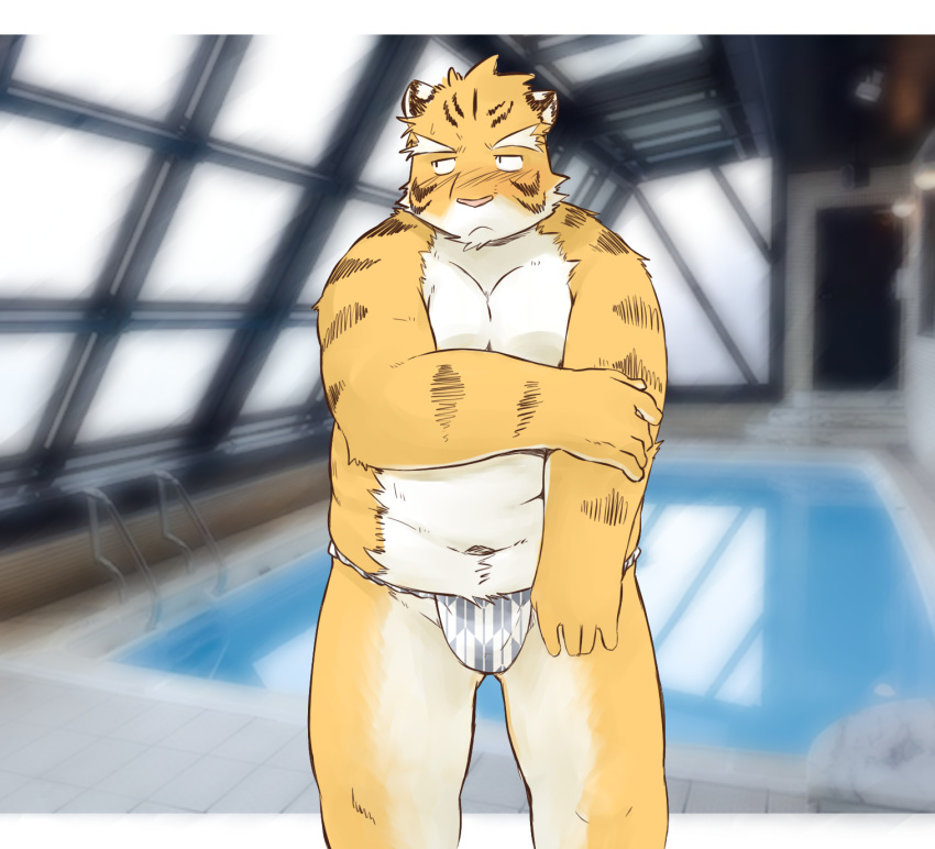2020 anthro asian_clothing belly blush bulge clothing east_asian_clothing felid fundoshi hi_res humanoid_hands inuryu japanese_clothing kemono male mammal moobs navel overweight overweight_male pantherine solo tiger underwear