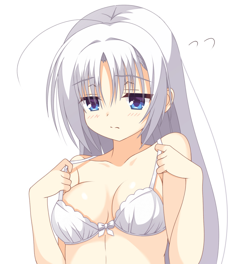 1girl absurdres ahoge bare_arms bare_shoulders blue_eyes blush bra bra_pull breasts closed_mouth clothes_pull collarbone commentary_request eyes_visible_through_hair flying_sweatdrops hair_between_eyes hair_down hands_up highres kaon_zz long_hair looking_down medium_breasts pulled_by_self senren_banka shiny_skin shy simple_background solo split_mouth tomotake_yoshino underwear underwear_only upper_body white_background white_bra white_hair