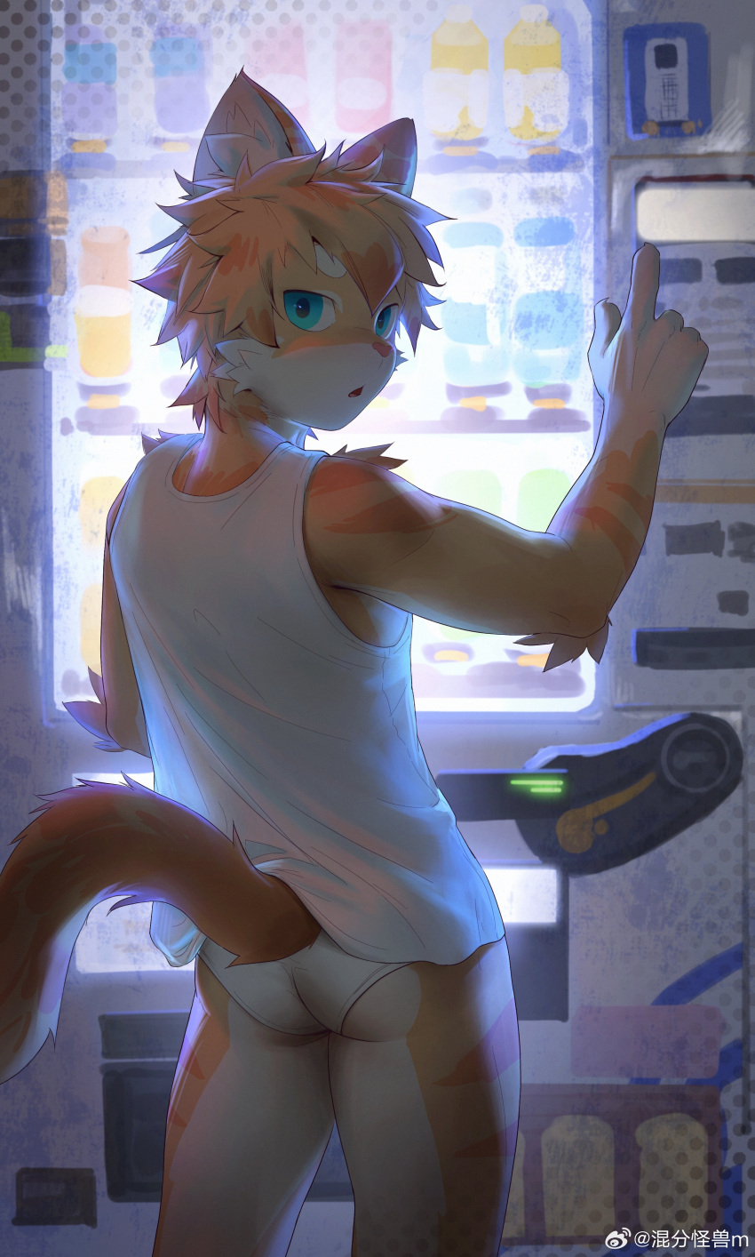 2024 absurd_res anthro butt clothing domestic_cat felid feline felis fur guaishoudm1 hair hi_res looking_at_viewer looking_back male mammal multicolored_body multicolored_fur solo tail topwear underwear vending_machine