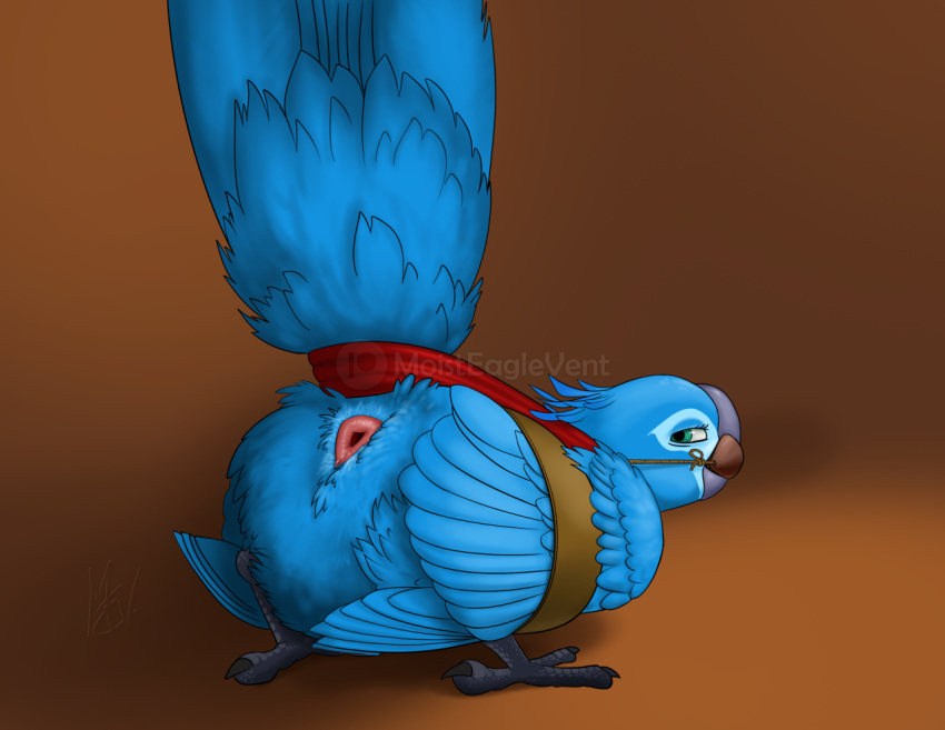 anatomically_correct anatomically_correct_cloaca anatomically_correct_genitalia animal_genitalia avian ball_gag bdsm beak bird blue_body blue_feathers blue_sky_studios bondage bound claws cloaca digital_media_(artwork) feathers female feral gag genitals jewel_(rio) macaw moisteaglevent neotropical_parrot parrot raised_tail restraints rio_(series) simple_background solo spix's_macaw submissive tail true_parrot wings wings_tied