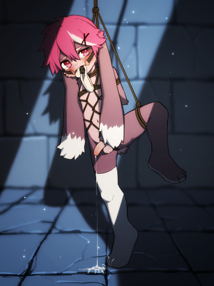 anthro bdsm bluegua_(character) bondage bound clothing gag hi_res legwear male misakatsuneko restraints rope rope_bondage rope_harness sock_in_mouth solo suspension thigh_highs