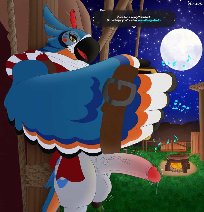accordion anthro avian balls beak big_balls big_penis bird blue_body blue_feathers bodily_fluids bottomless breath_of_the_wild campfire clothed clothing dialogue dripping erection feather_hands feathers full_moon genital_fluids genitals hi_res humanoid_genitalia humanoid_penis kass_(tloz) male moon music musical_instrument musical_note night nintendo outside penis playing_music precum precum_drip rito sky solo speech_bubble standing star the_legend_of_zelda varium