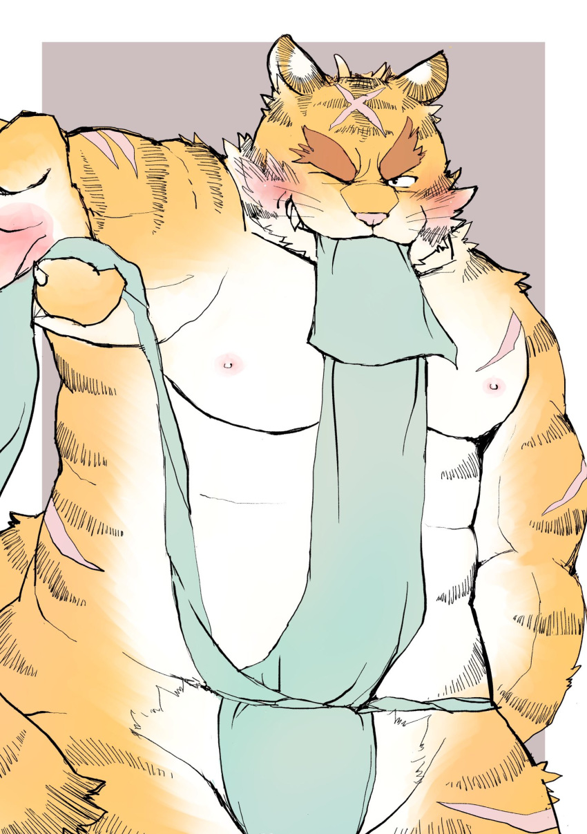 2020 asian_clothing belly blush clothing east_asian_clothing felid fundoshi hi_res humanoid_hands japanese_clothing kemono male mammal moobs nipples one_eye_closed overweight overweight_male pantherine scar tiger underwear wink yaoyasohachi