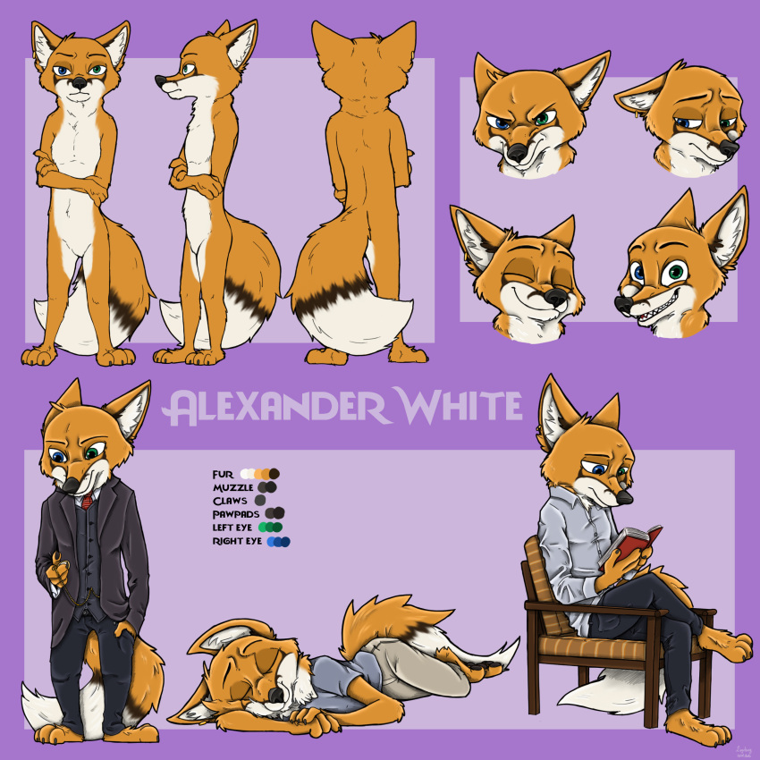 1:1 absurd_res alexander_(character) blue_eyes book canid canine chair claws clock clothed clothing fox fur furniture green_eyes hi_res male mammal model_sheet orange_body orange_fur pocketwatch reading sleeping smile watch ziegelzeig