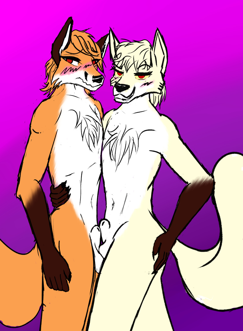 animal_genitalia balls blush canid canine canis carver_(twokinds) clovis_(twokinds) embarrassed flaccid fox frottage fur genitals girly gloves_(marking) hi_res hybrid male male/male mammal markings orange_body orange_fur penis red_eyes sex sheath twokinds unknown_artist webcomic white_body white_fur wolf