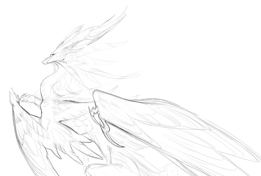 2020 absurd_res ambiguous_gender digital_media_(artwork) dragon feathered_dragon feathered_wings feathers feral hi_res horn kassillea monochrome simple_background sketch solo white_background wings