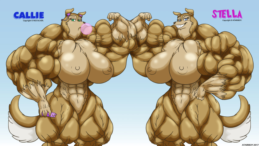 16:9 abs anthro atariboy big_muscles border_collie breasts canid canine canis collie domestic_dog duo female herding_dog hi_res huge_muscles hyper hyper_muscles mammal muscular nude pastoral_dog sheepdog