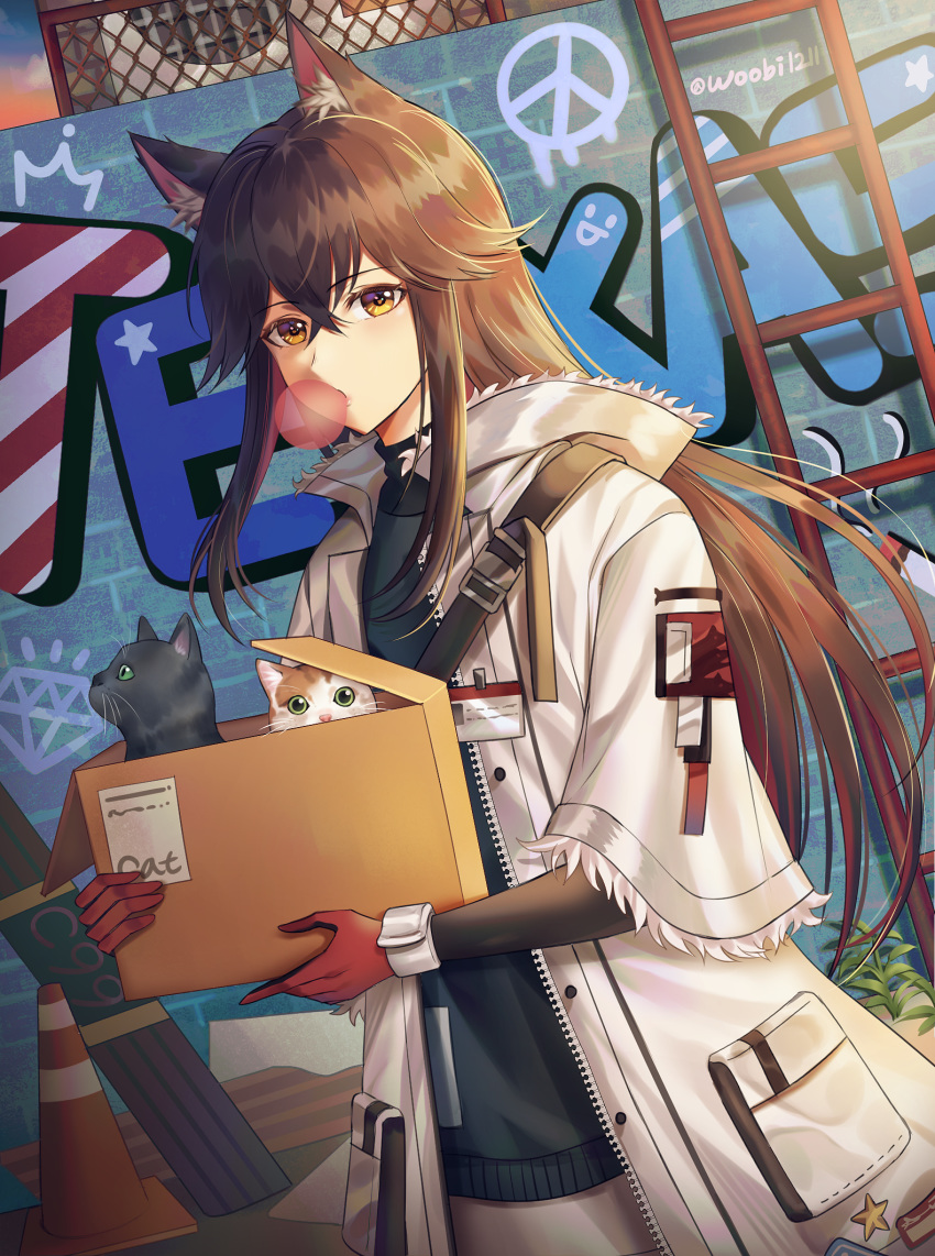 1girl alternate_costume animal_ear_fluff animal_ears arknights bangs black_hair box brown_eyes bubble_blowing cat character_name coat fur-trimmed_coat fur_trim gloves graffiti green_sweater grey_skirt hair_between_eyes highres holding holding_box long_hair long_sleeves looking_at_viewer open_clothes open_coat outdoors red_gloves red_hair skirt snap-fit_buckle solo sunset sweater texas_(arknights) turtleneck turtleneck_sweater ubi_(ekdus6080) white_coat wolf_ears wrist_cuffs