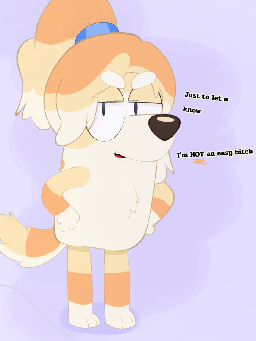 2026 accessory anthro bird_dog bluey_(series) canid canine canis chest_tuft cocker_spaniel dialogue digital_media_(artwork) domestic_dog female frisky_(bluey) fur hair_accessory hair_tie hi_res hunting_dog lexusart616 looking_at_viewer mammal orange_body orange_fur ponytail_ears profanity solo spaniel talking_to_viewer tan_body tan_fur tuft white_body white_fur