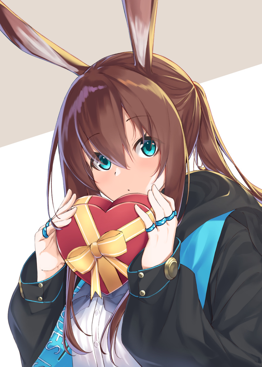 1girl absurdres amiya_(arknights) animal_ears arknights bangs black_jacket blue_eyes box brown_hair bunny_ears commentary_request eyebrows_visible_through_hair grey_background hair_between_eyes hands_up heart-shaped_box highres holding holding_box jacket jewelry kimidori3_karla long_hair long_sleeves looking_at_viewer ring shirt sidelocks solo two-tone_background upper_body white_background white_shirt
