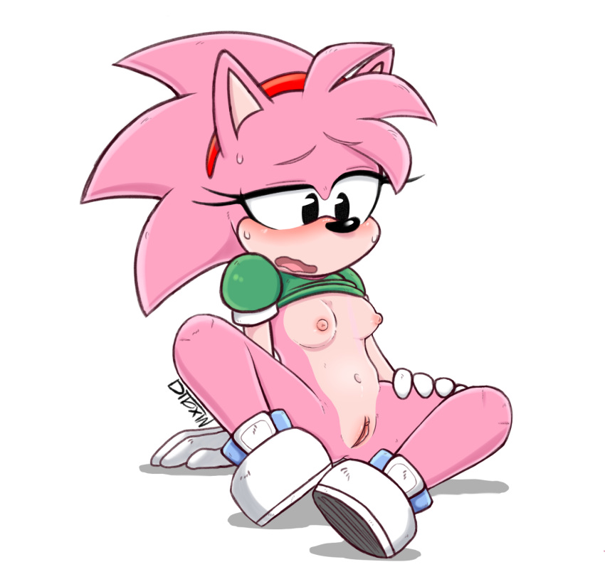 amy_rose anthro blush breasts classic_amy_rose classic_sonic_(universe) ditoxin eulipotyphlan female genitals hedgehog mammal nipples nude pussy simple_background sonic_the_hedgehog_(series)