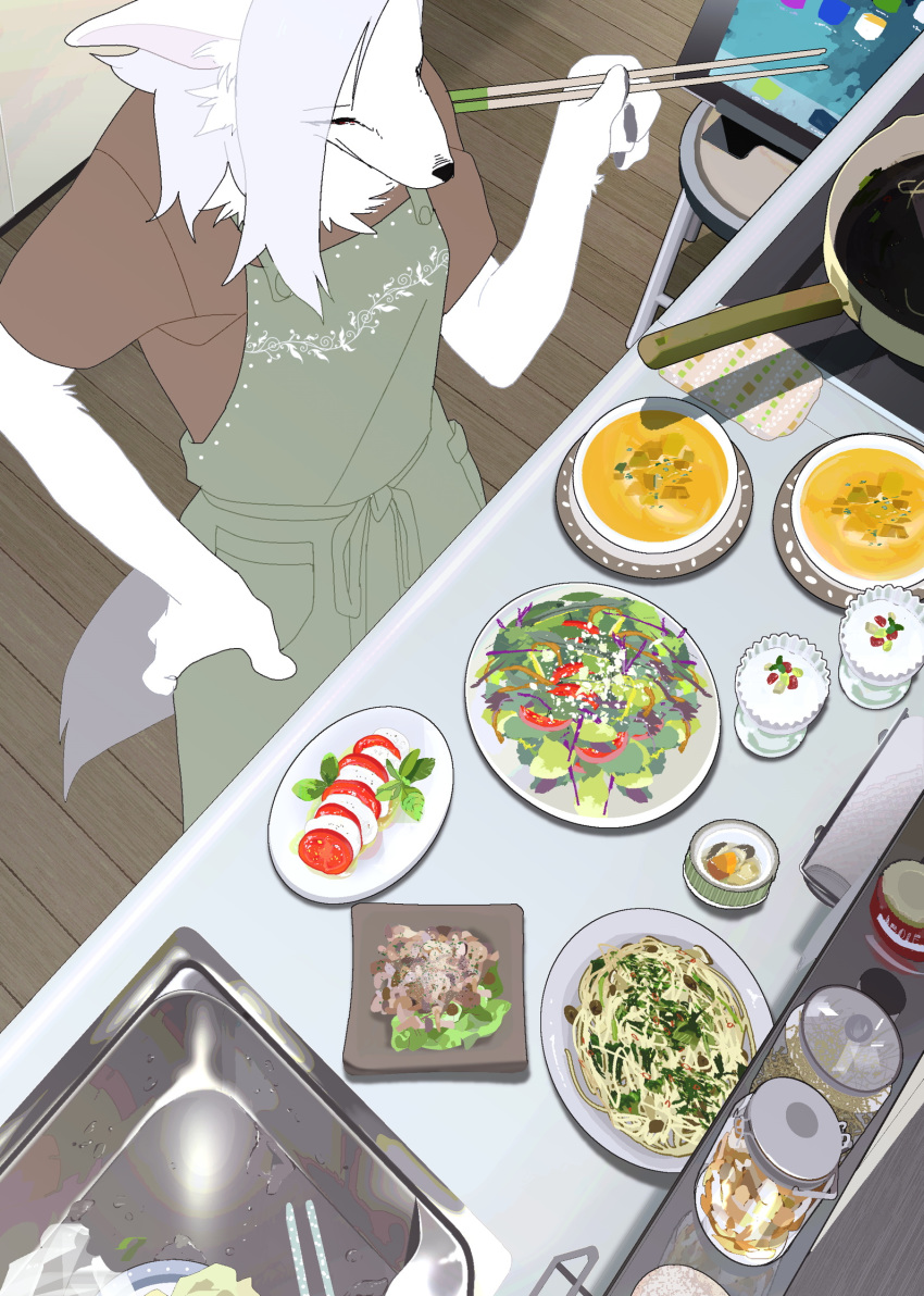 anthro apron bird's-eye_view canid canine canis cheek_tuft chopsticks clothed clothing computer cooking cooking_pot dessert detailed_background domestic_dog facial_tuft female food fruit fully_clothed fur furniture grey_hair hair hi_res high-angle_view inner_ear_fluff inside jar kemono kitchen mammal neck_tuft noodles pawpads plant salad shirt sink solo soup standing stool tablet taracod tomato topwear tuft white_body white_fur