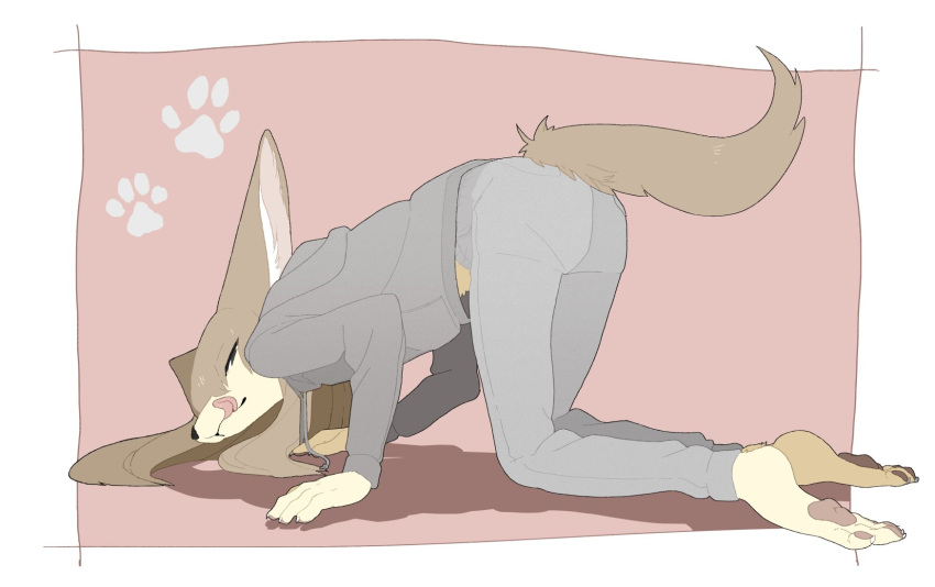 all_fours anthro ass_up bedroom_eyes black_nose black_pawpads bottomwear brown_hair canid canine clothed clothing female fennec fluffy fluffy_tail footprint fox fully_clothed fur hair hi_res hoodie inner_ear_fluff jeans kemono licking licking_lips long_ears looking_at_viewer mammal narrowed_eyes pants pawpads pawprint seductive snout solo tan_body tan_fur taracod tongue tongue_out topwear tuft