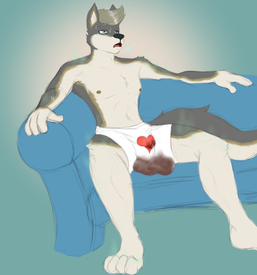 &lt;3 2019 4_fingers 4_toes anthro biped black_nose boxers_(clothing) canid canine canis clothed clothing digital_media_(artwork) digitigrade eyebrows feces fingers front_view fur hair hi_res humanoid_hands leoben male mammal messy multicolored_body multicolored_ears multicolored_fur multicolored_tail navel nipples on_couch open_mouth pooping scat simple_background sitting soiling solo toes tongue topless underwear wolf