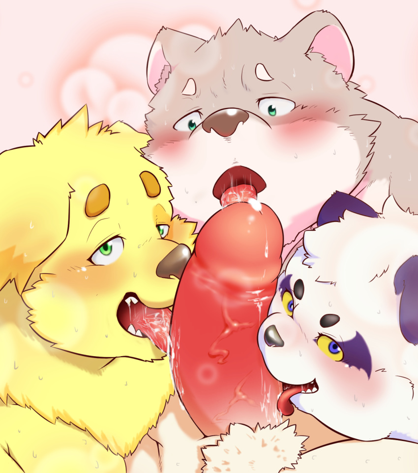 2020 alp_(tas) anthro blush bodily_fluids canid canine canis cu_sith_(tas) domestic_dog drooling fur genitals giant_panda group hi_res jambavan kemono leib_(tas) licking male male/male mammal nameko_no_neko penis purple_body purple_fur saliva tokyo_afterschool_summoners tongue tongue_out ursid video_games white_body white_fur