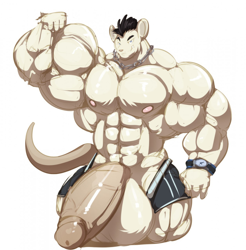 aidan_mouse anthro balls big_balls big_muscles big_penis black_hair bobert boxers_(clothing) clock clothing erection flexing fur genitals hair hi_res huge_balls huge_muscles huge_penis hyper hyper_balls hyper_genitalia hyper_muscles hyper_penis loking_at_viewer male mammal mouse murid murine muscular nipples penis rodent simple_background smile underwear vein veiny_penis watch white_background white_body white_fur wristwatch