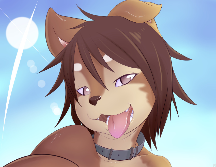 2014 anthro brown_body brown_fur brown_hair brown_nose bust_portrait canid canine canis collar domestic_dog fur hair lens_flare mammal open_mouth open_smile outside portrait rudragon smile solo teeth tongue tongue_out