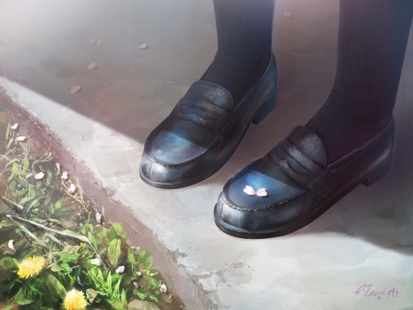 1girl black_legwear cherry_blossoms close-up commentary dandelion feet_only flower hachiya_shohei highres loafers original petals realistic shoes signature socks solo