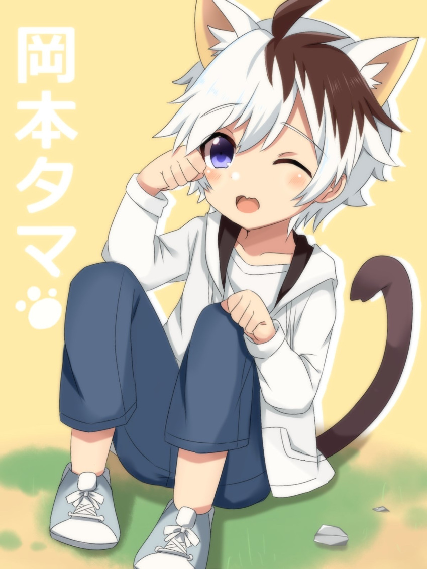 1boy animal_ears brown_hair cat_boy cat_ears commentary_request eyebrows_visible_through_hair highres looking_at_viewer male_focus meranoreuka_(naokentak) multicolored_hair okamoto_tama one_eye_closed partial_commentary paw_pose purple_eyes solo two-tone_hair uchi_no_tama_shirimasen_ka? white_hair