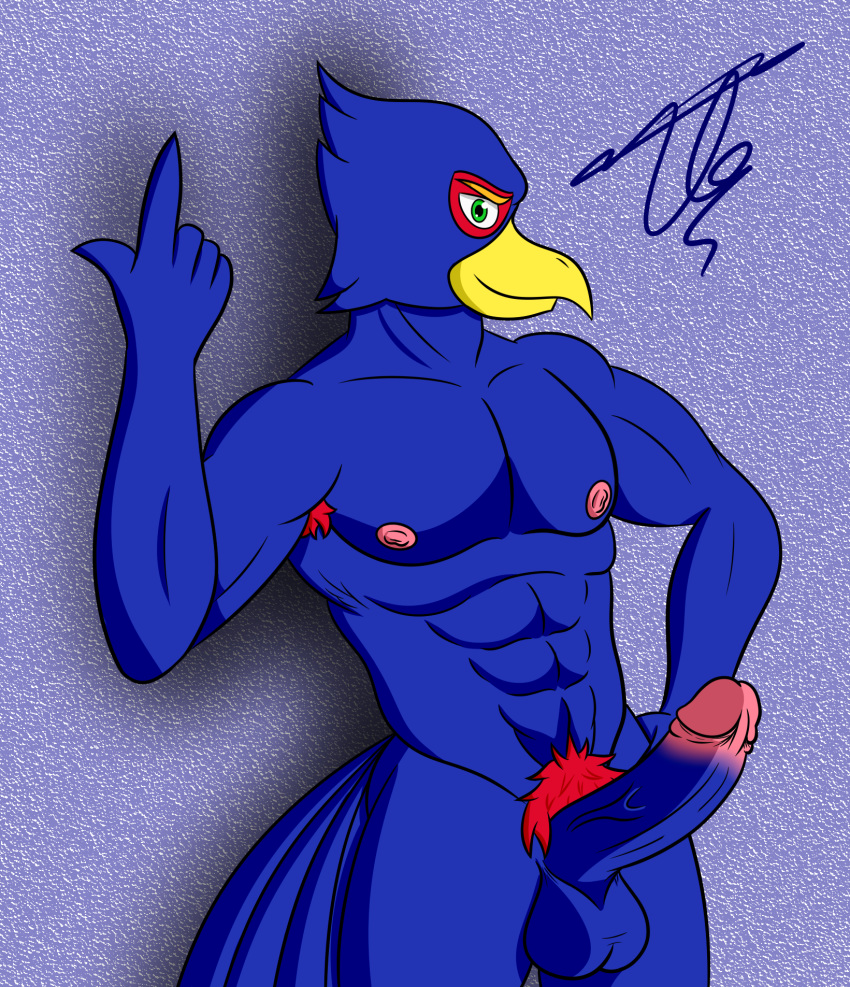 anthro avian bird dg254 erection falco_lombardi genitals hi_res humanoid_genitalia humanoid_penis male nintendo penis solo star_fox video_games